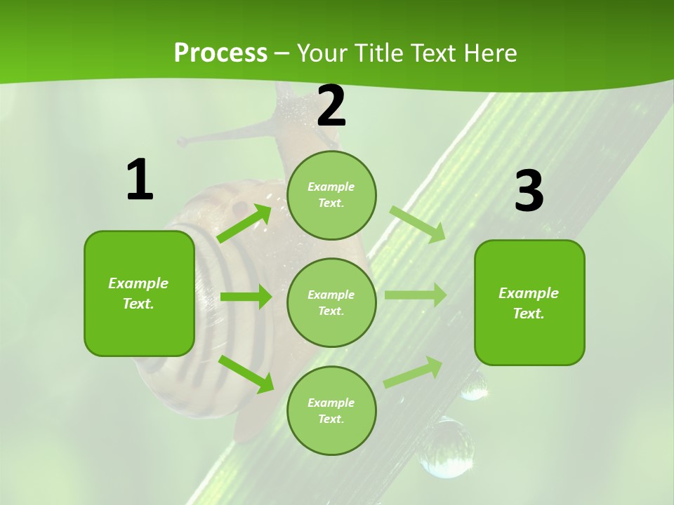 Liquid Sunlight Close Up PowerPoint Template