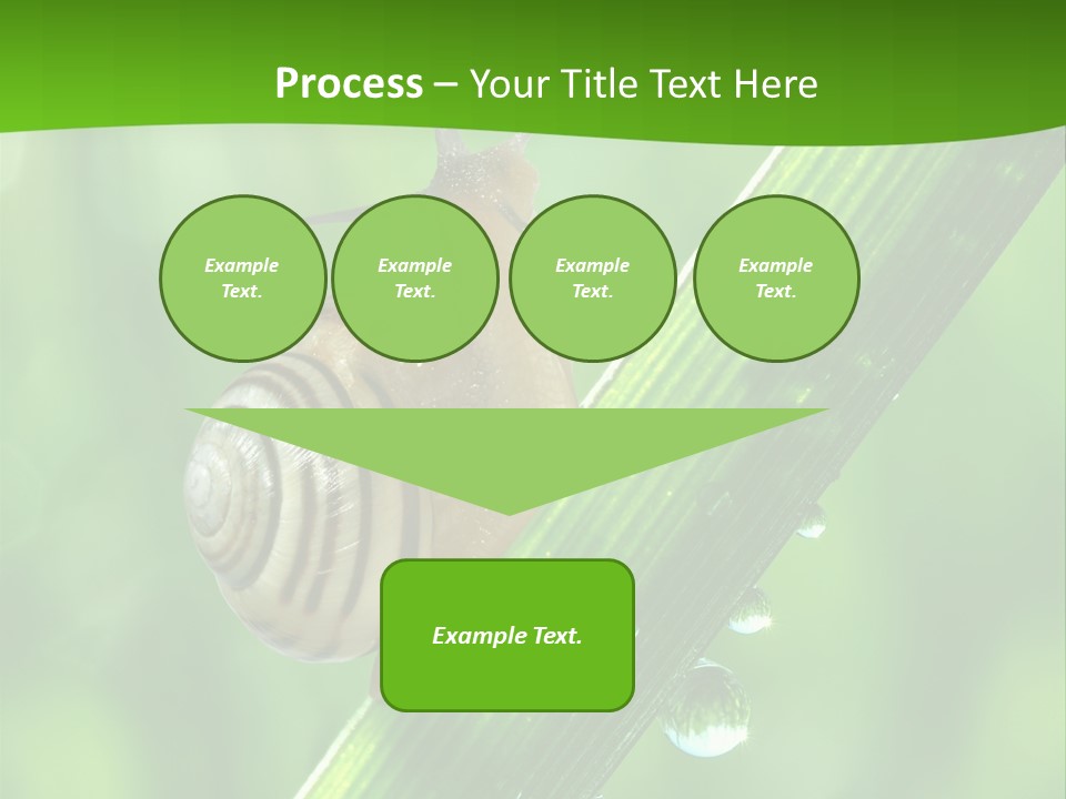 Liquid Sunlight Close Up PowerPoint Template
