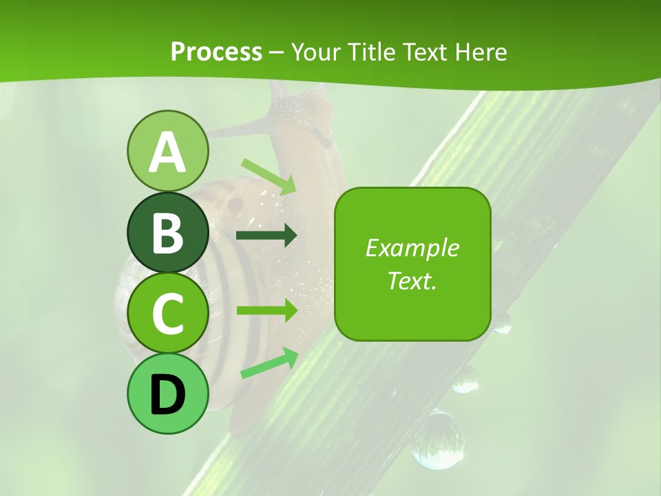 Liquid Sunlight Close Up PowerPoint Template