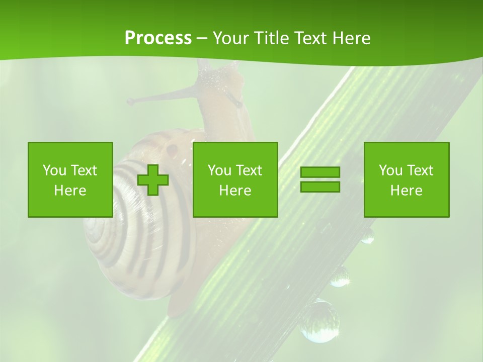 Liquid Sunlight Close Up PowerPoint Template