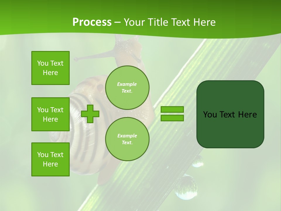 Liquid Sunlight Close Up PowerPoint Template