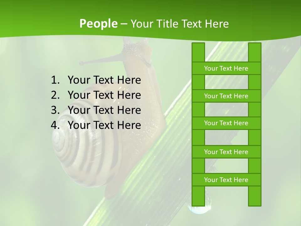 Liquid Sunlight Close Up PowerPoint Template