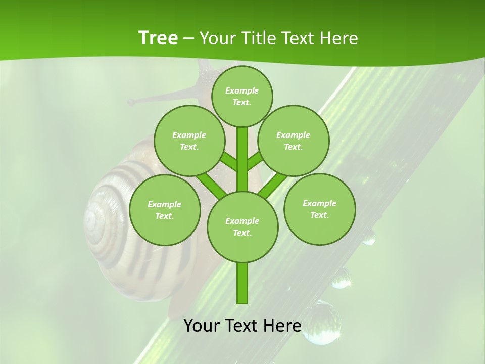 Liquid Sunlight Close Up PowerPoint Template