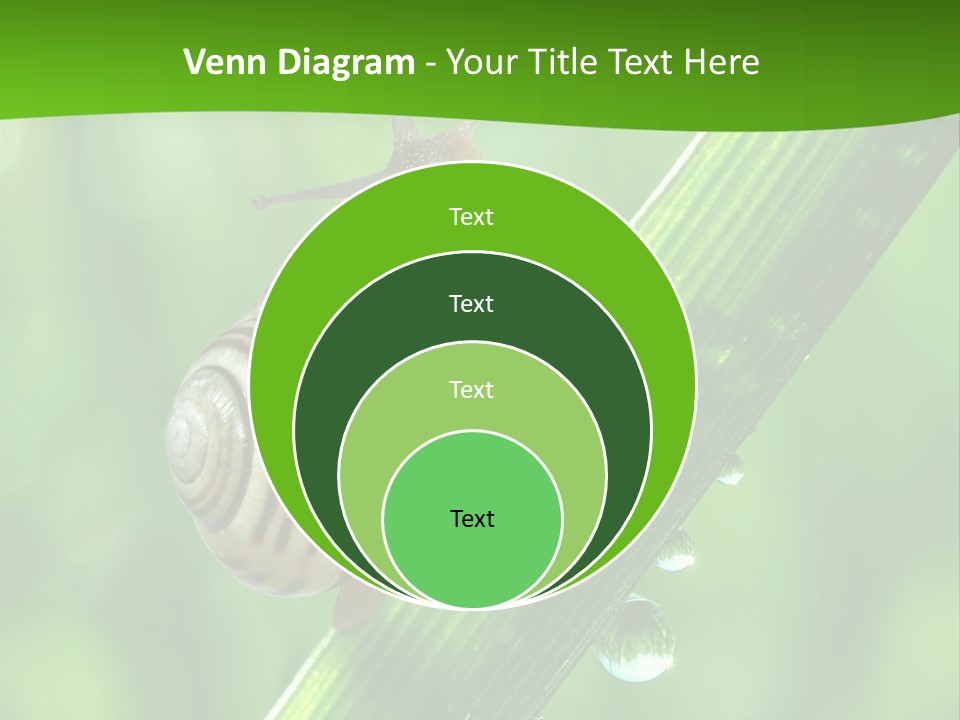 Liquid Sunlight Close Up PowerPoint Template