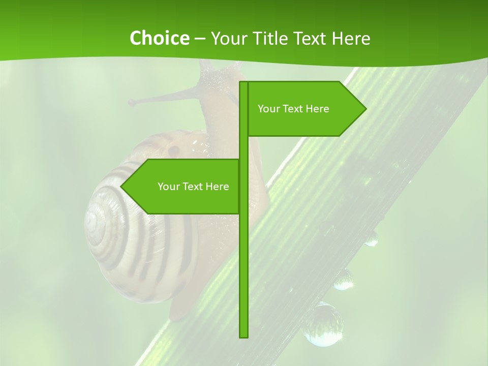 Liquid Sunlight Close Up PowerPoint Template