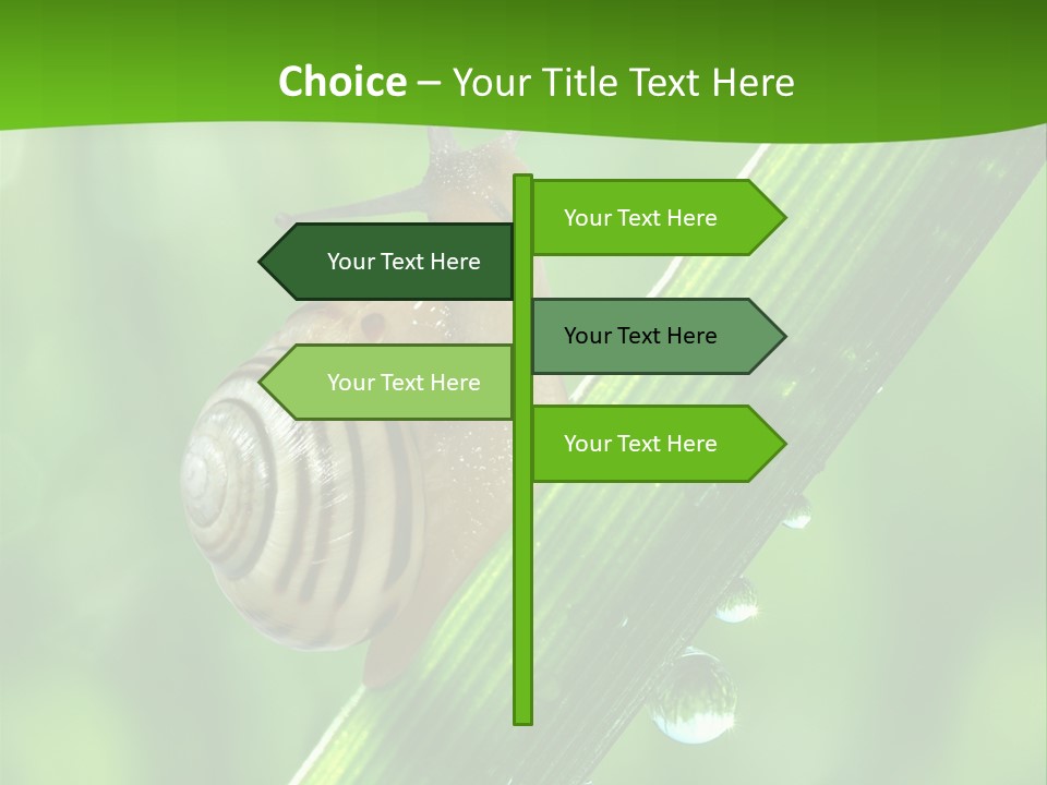 Liquid Sunlight Close Up PowerPoint Template