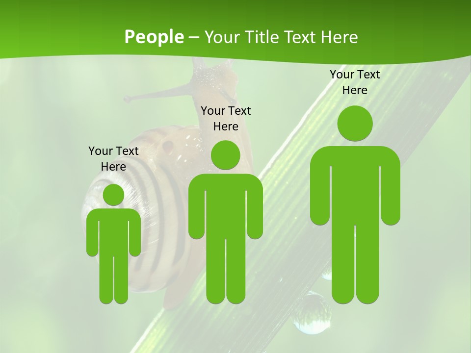 Liquid Sunlight Close Up PowerPoint Template