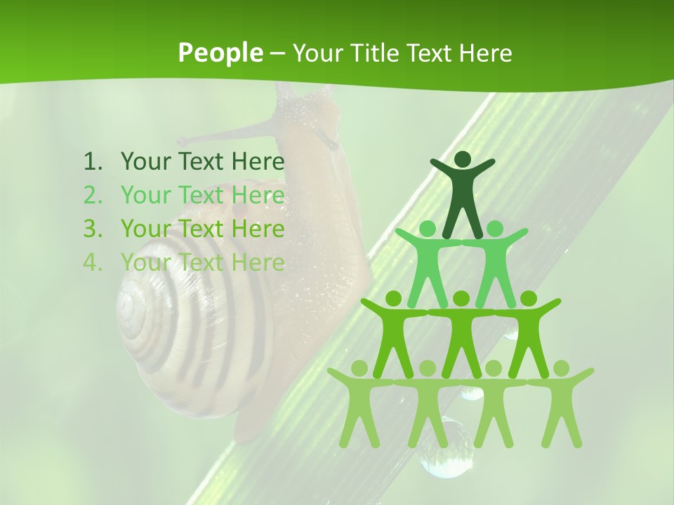 Liquid Sunlight Close Up PowerPoint Template