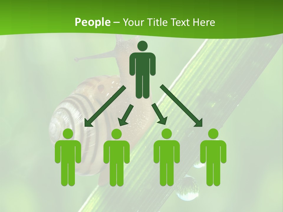 Liquid Sunlight Close Up PowerPoint Template