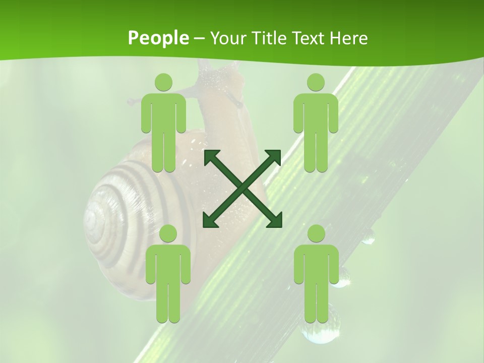 Liquid Sunlight Close Up PowerPoint Template