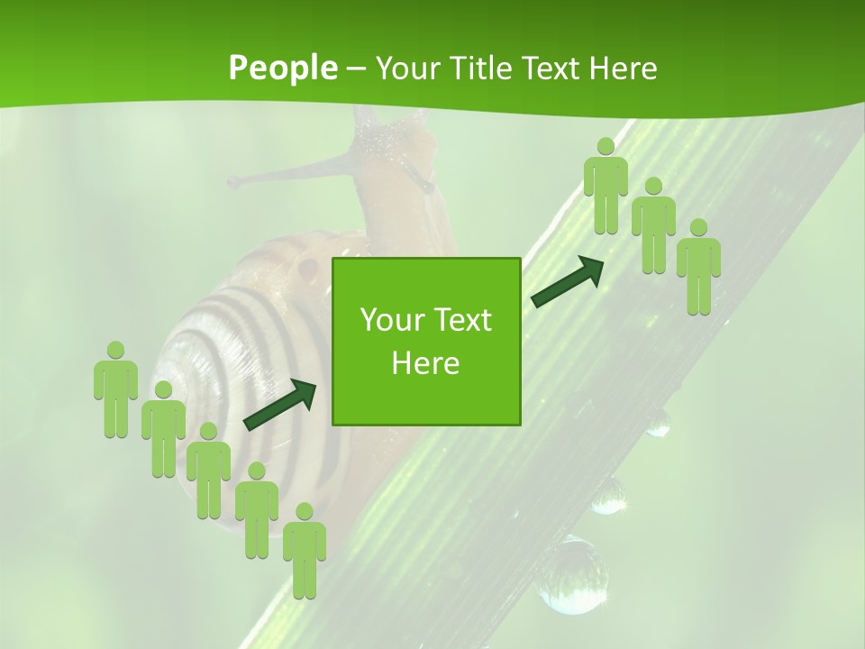 Liquid Sunlight Close Up PowerPoint Template