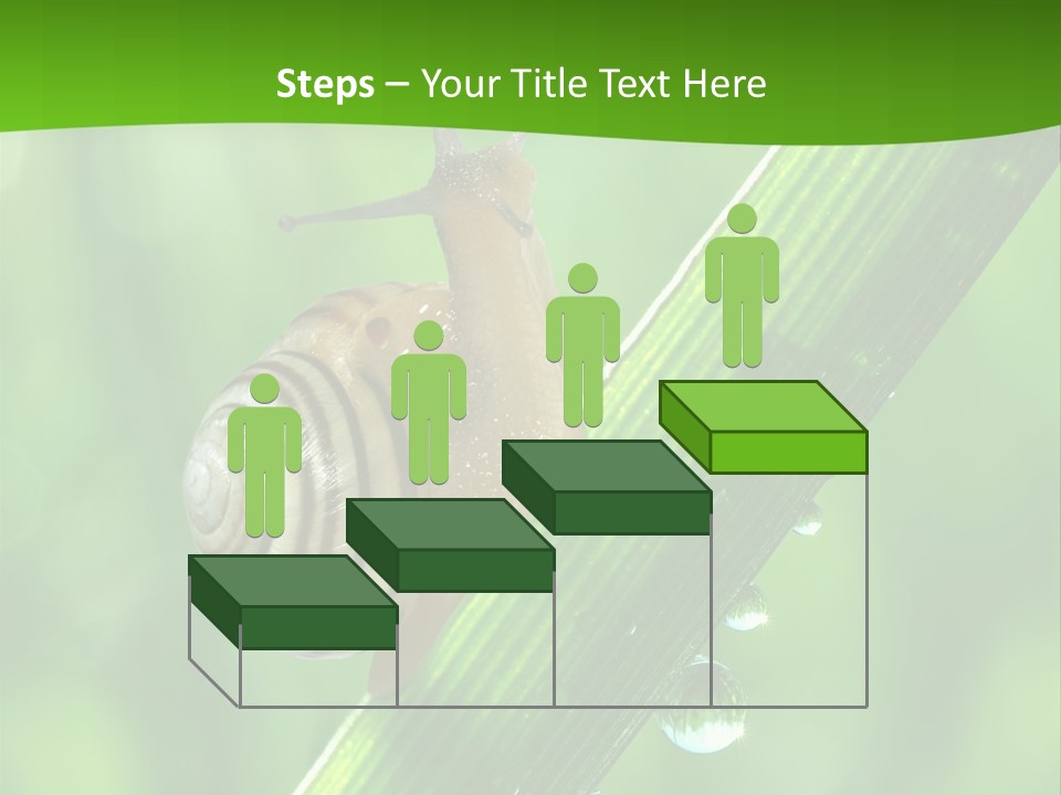 Liquid Sunlight Close Up PowerPoint Template