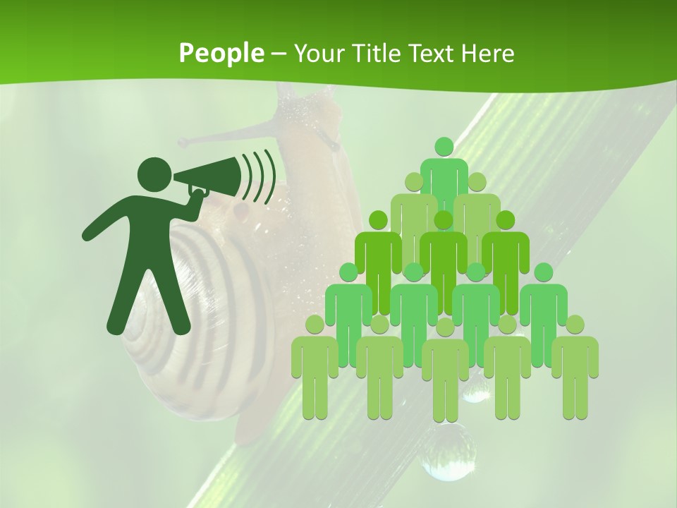 Liquid Sunlight Close Up PowerPoint Template