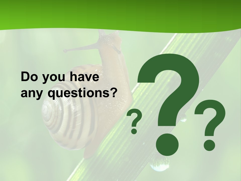 Liquid Sunlight Close Up PowerPoint Template