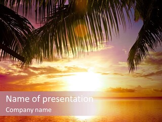 Night Gold Sunset PowerPoint Template