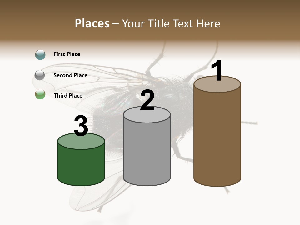 Creepy Animal Background PowerPoint Template