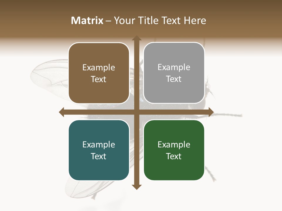 Creepy Animal Background PowerPoint Template