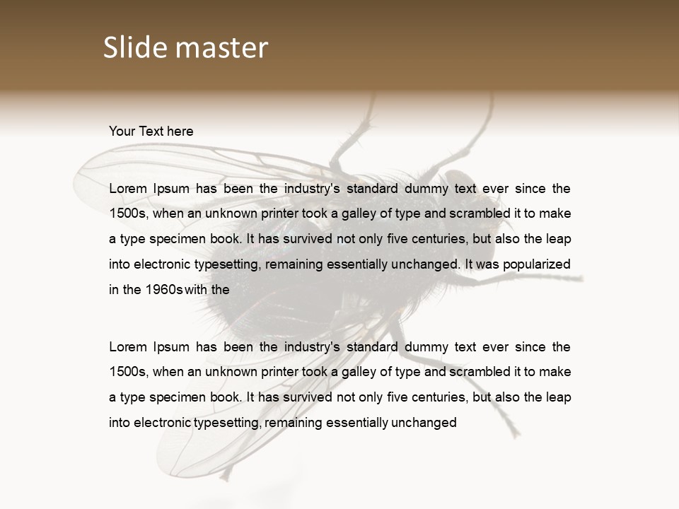 Creepy Animal Background PowerPoint Template