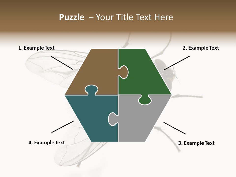 Creepy Animal Background PowerPoint Template