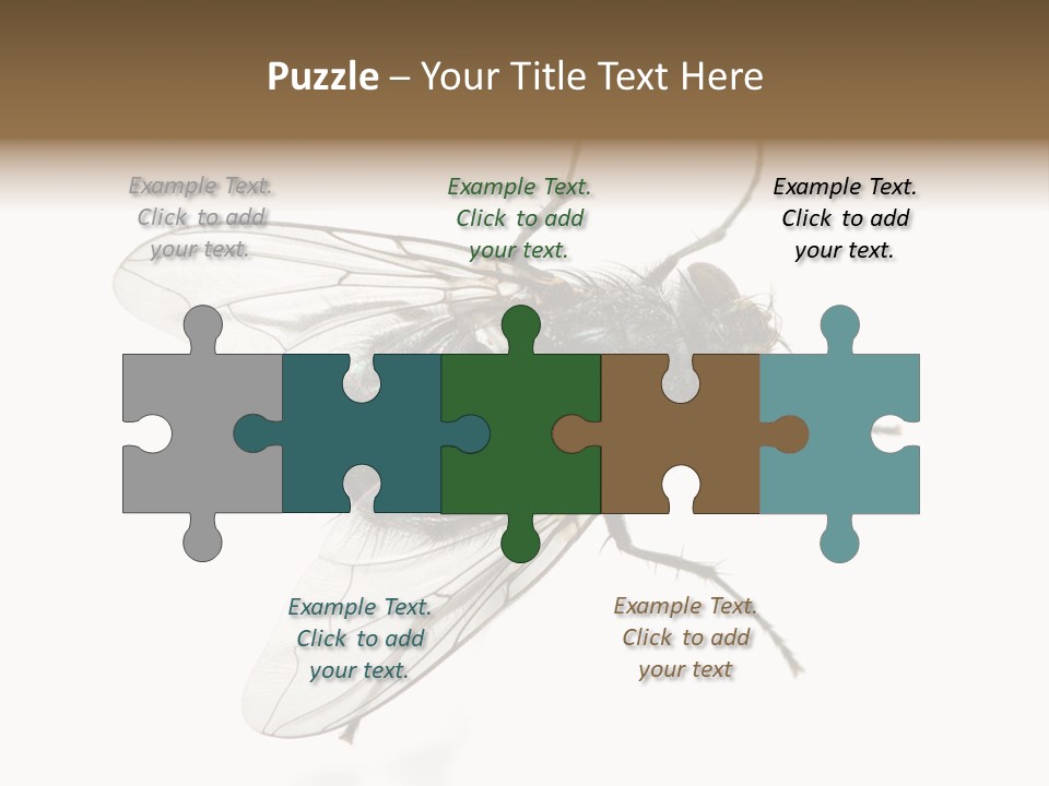 Creepy Animal Background PowerPoint Template