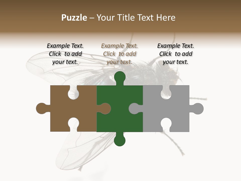 Creepy Animal Background PowerPoint Template