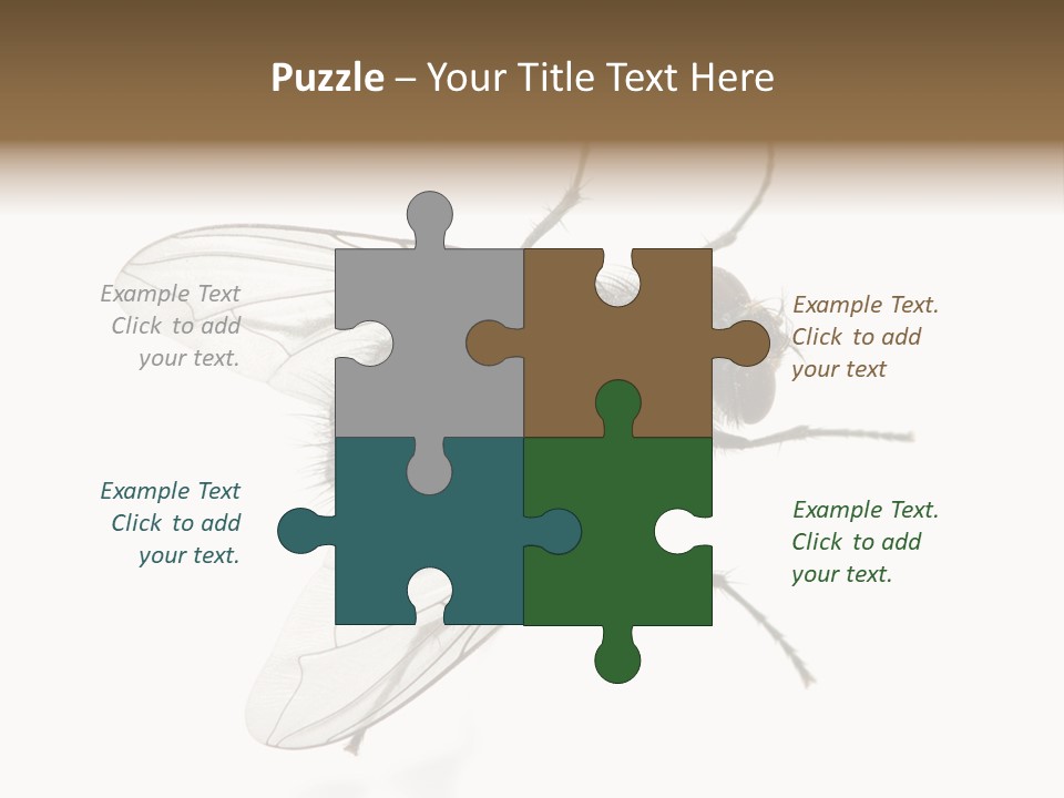 Creepy Animal Background PowerPoint Template