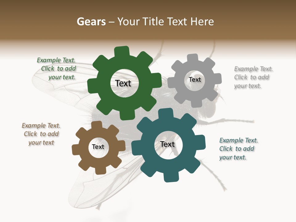 Creepy Animal Background PowerPoint Template