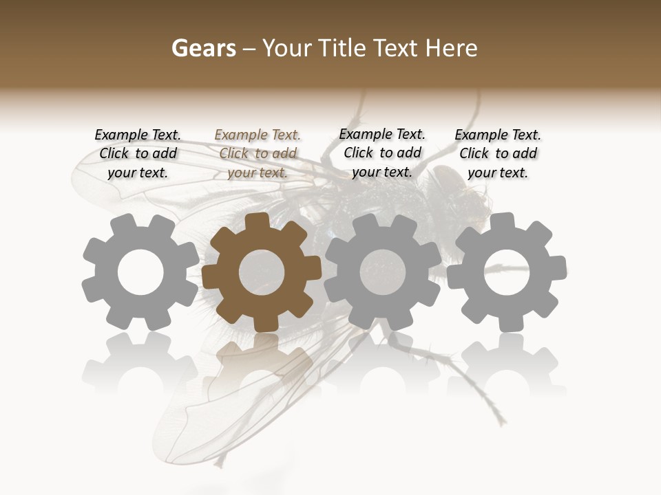 Creepy Animal Background PowerPoint Template