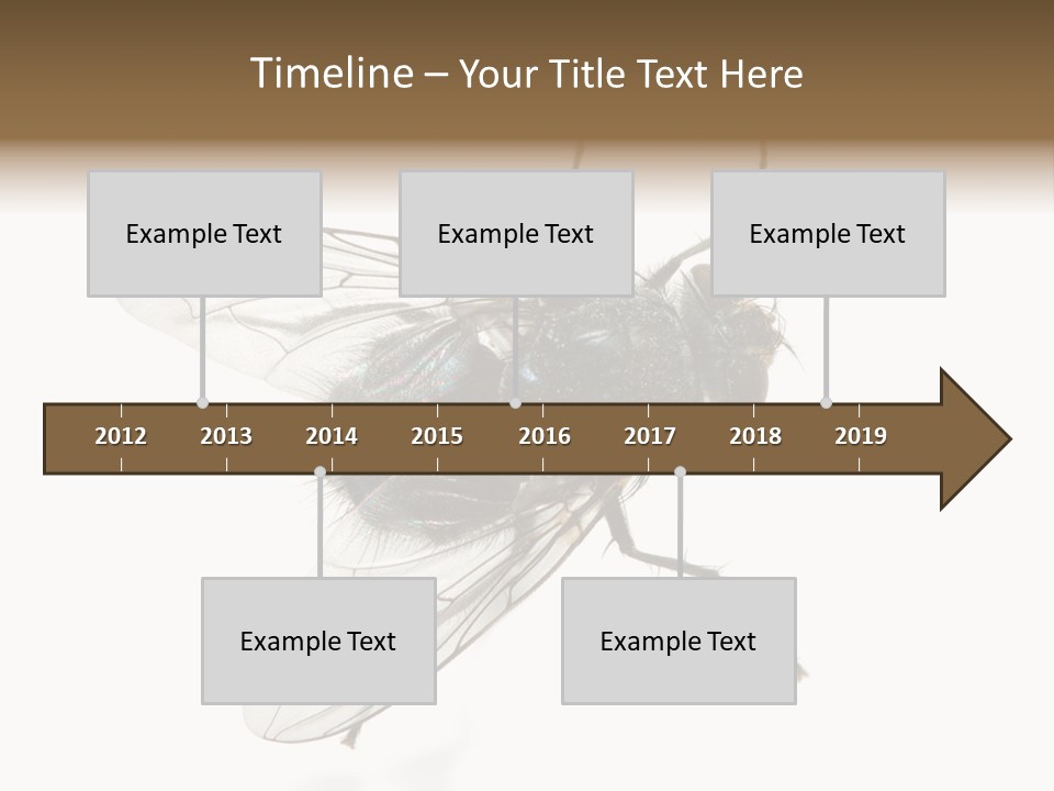 Creepy Animal Background PowerPoint Template