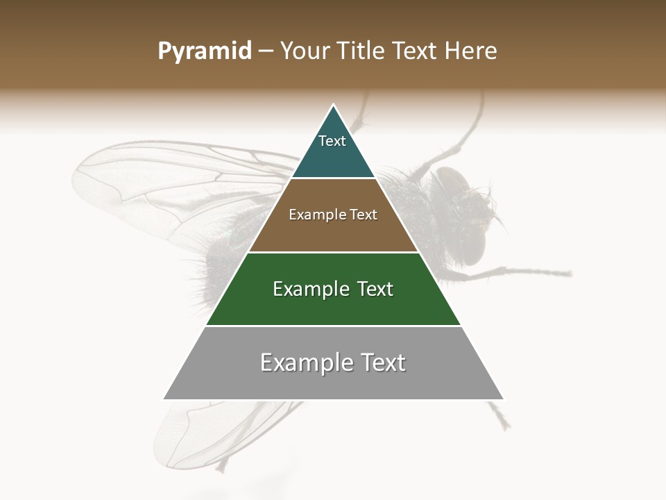 Creepy Animal Background PowerPoint Template