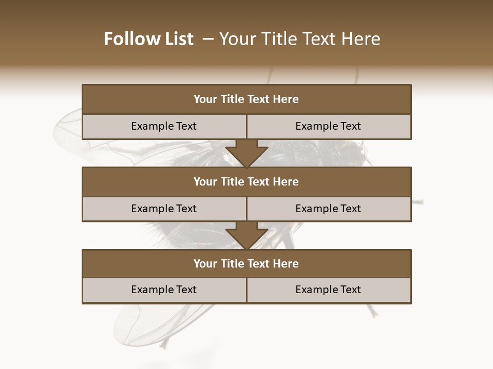 Creepy Animal Background PowerPoint Template