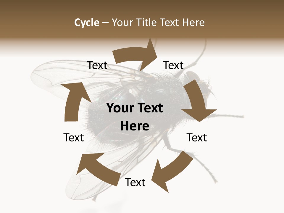 Creepy Animal Background PowerPoint Template