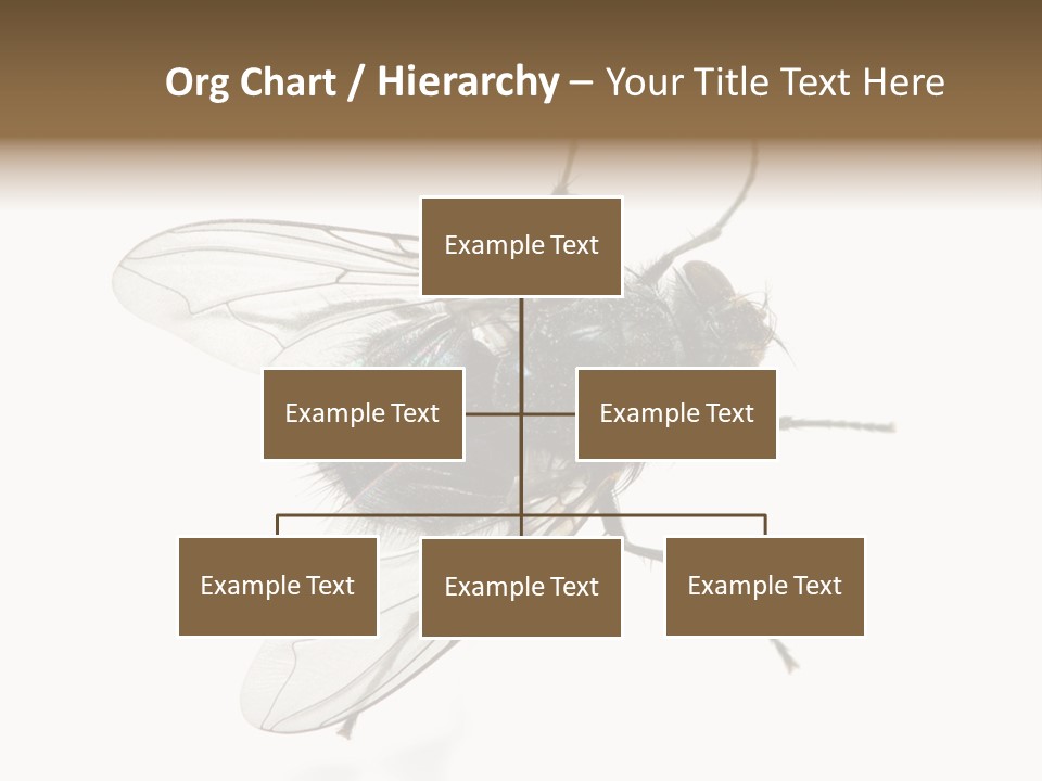 Creepy Animal Background PowerPoint Template