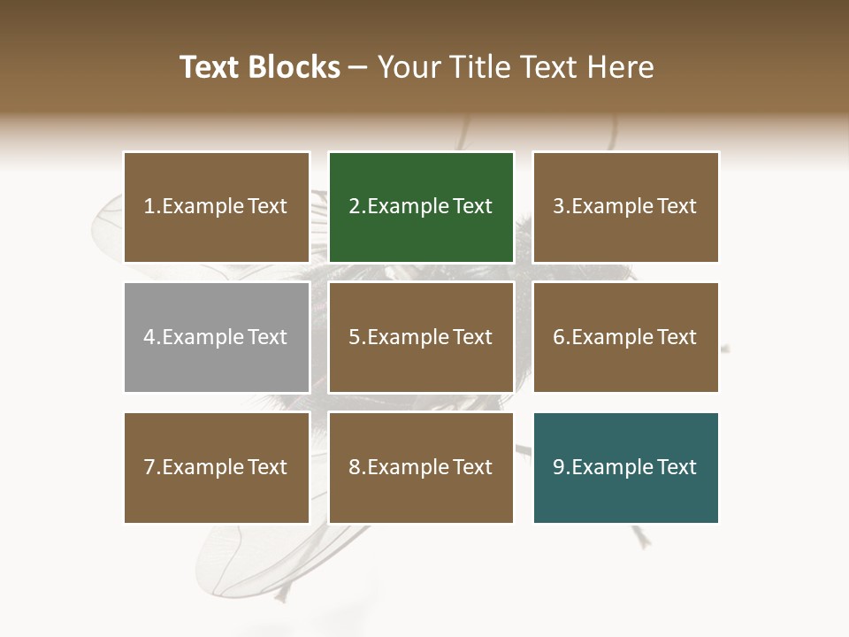 Creepy Animal Background PowerPoint Template