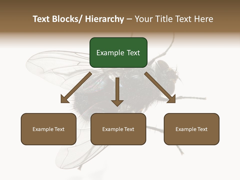 Creepy Animal Background PowerPoint Template