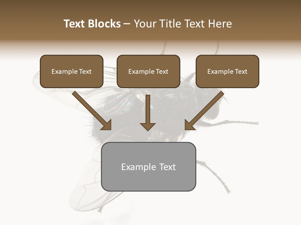 Creepy Animal Background PowerPoint Template