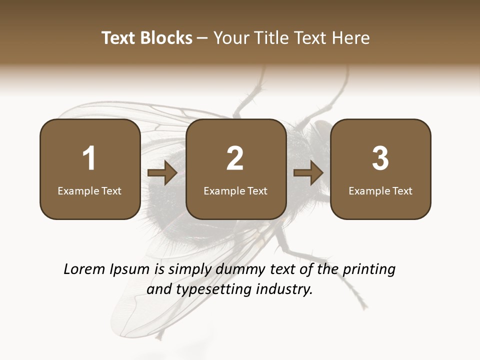 Creepy Animal Background PowerPoint Template