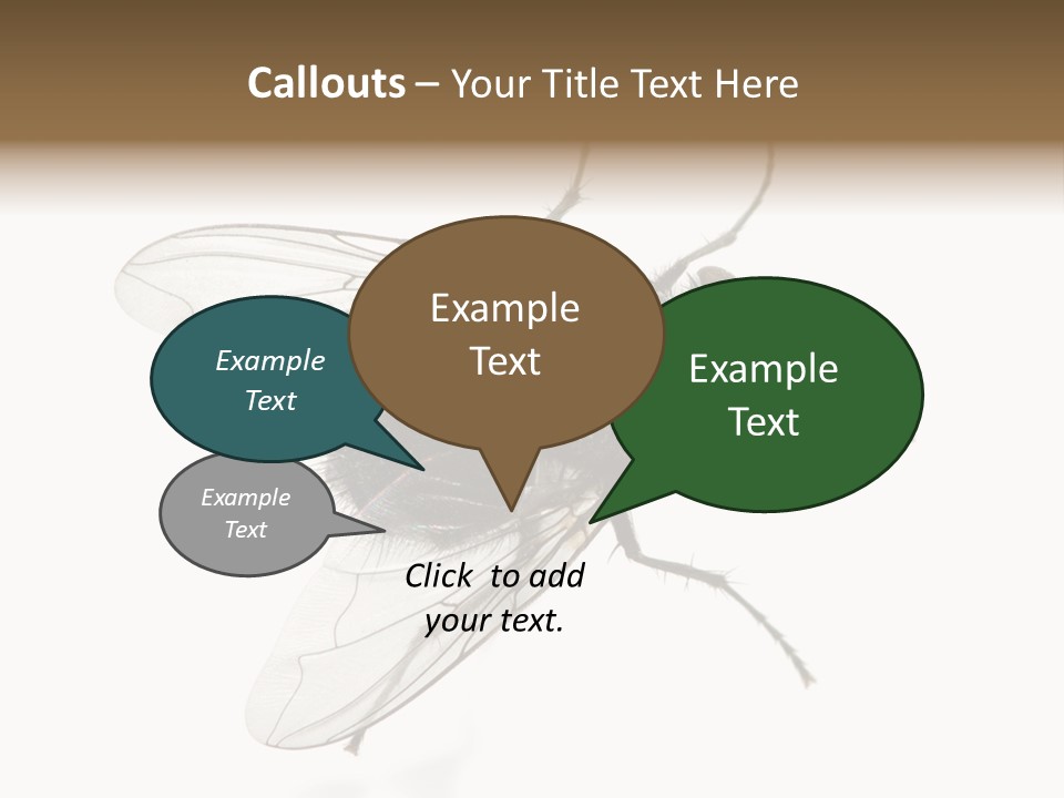 Creepy Animal Background PowerPoint Template