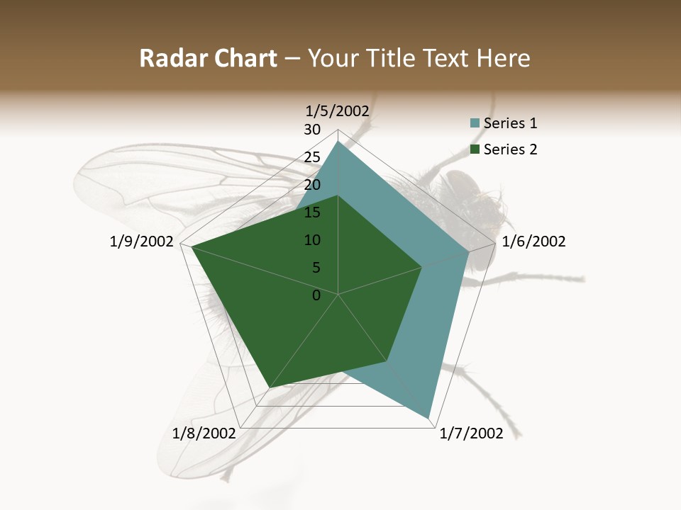 Creepy Animal Background PowerPoint Template