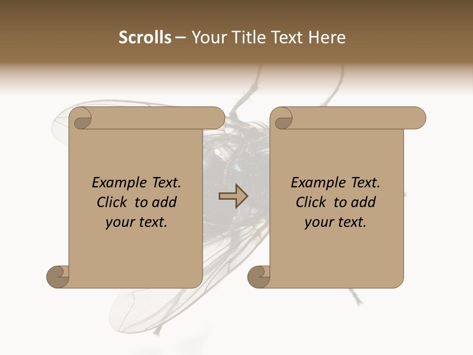 Creepy Animal Background PowerPoint Template