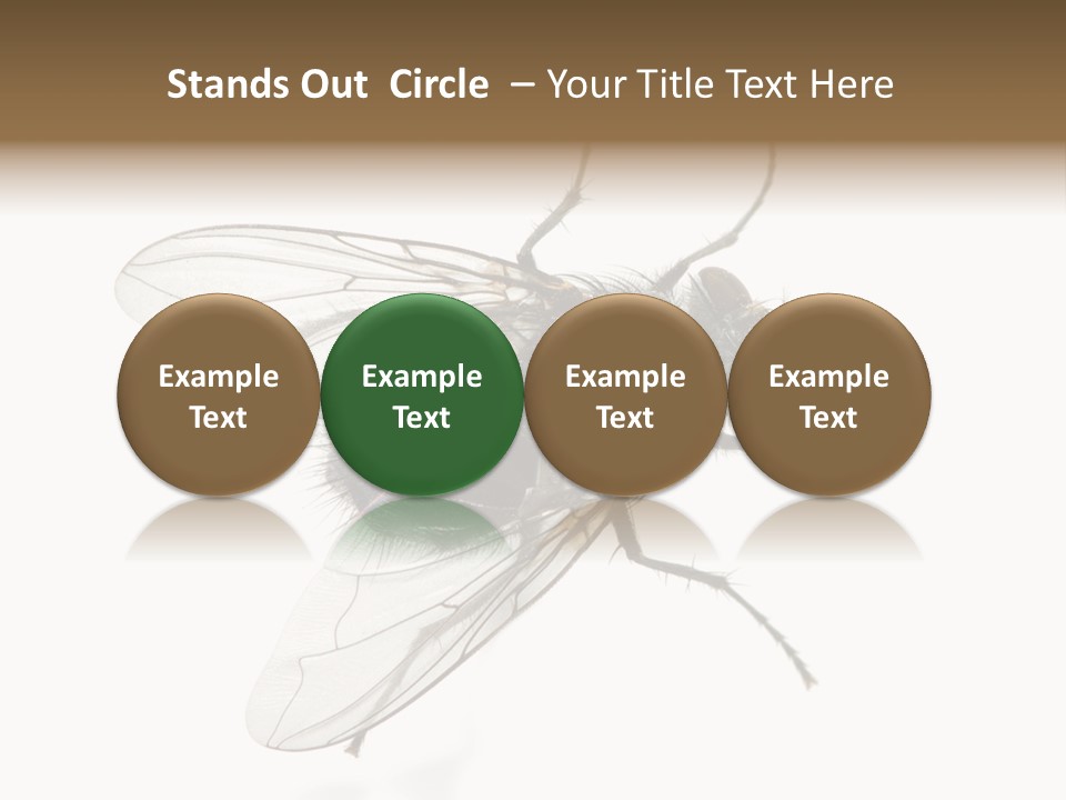 Creepy Animal Background PowerPoint Template