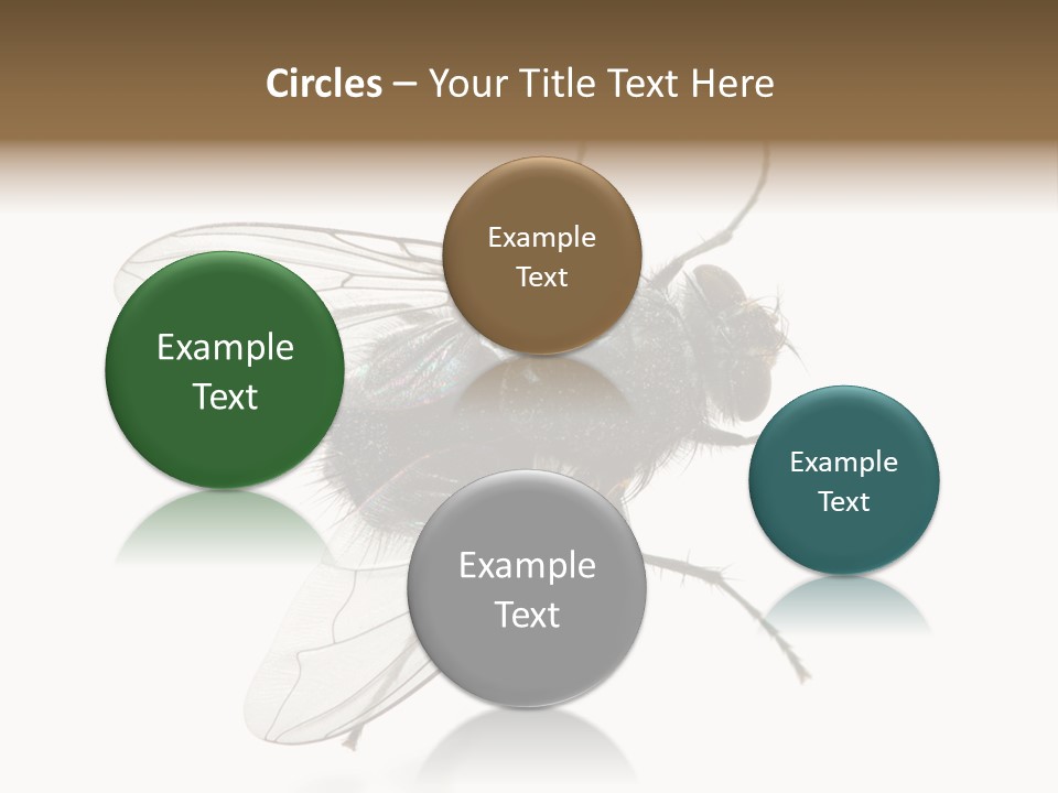 Creepy Animal Background PowerPoint Template