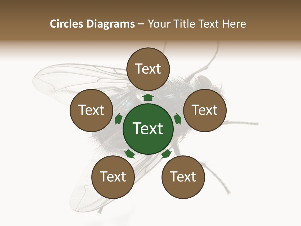 Creepy Animal Background PowerPoint Template