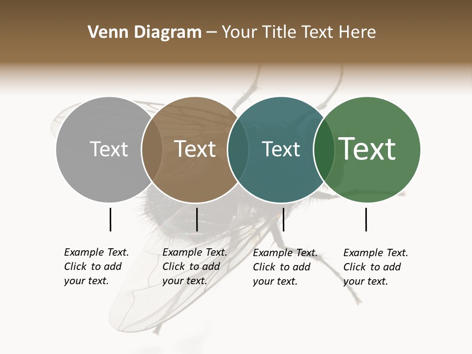 Creepy Animal Background PowerPoint Template