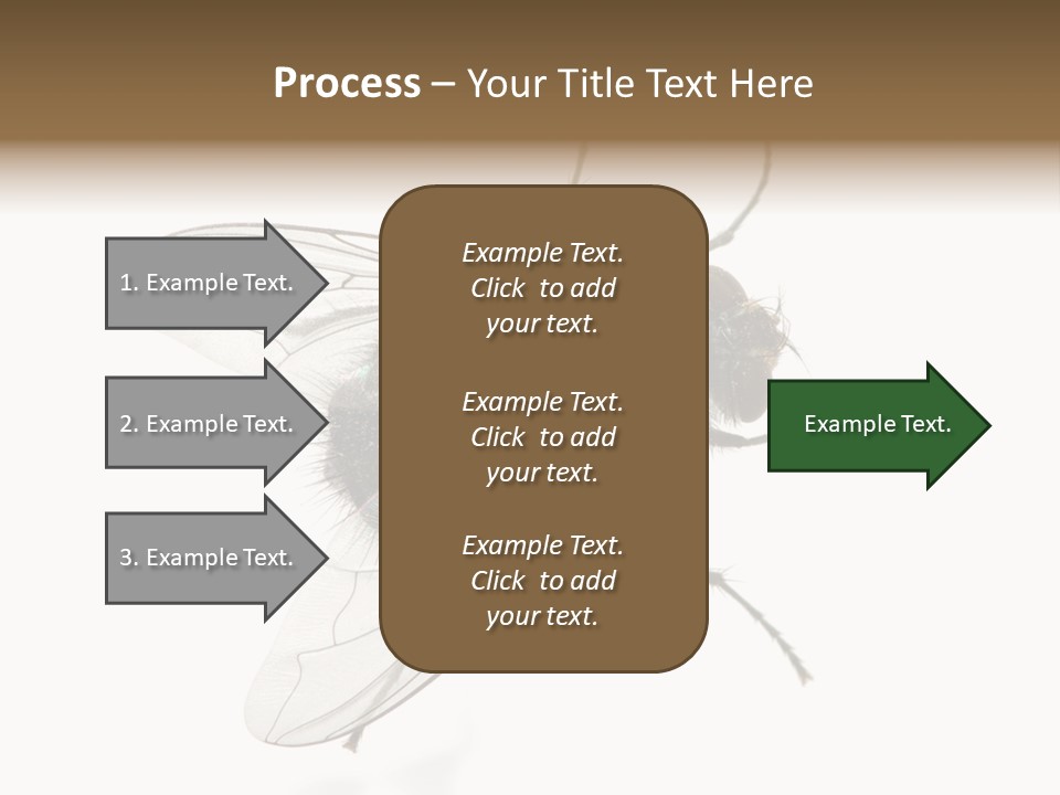 Creepy Animal Background PowerPoint Template