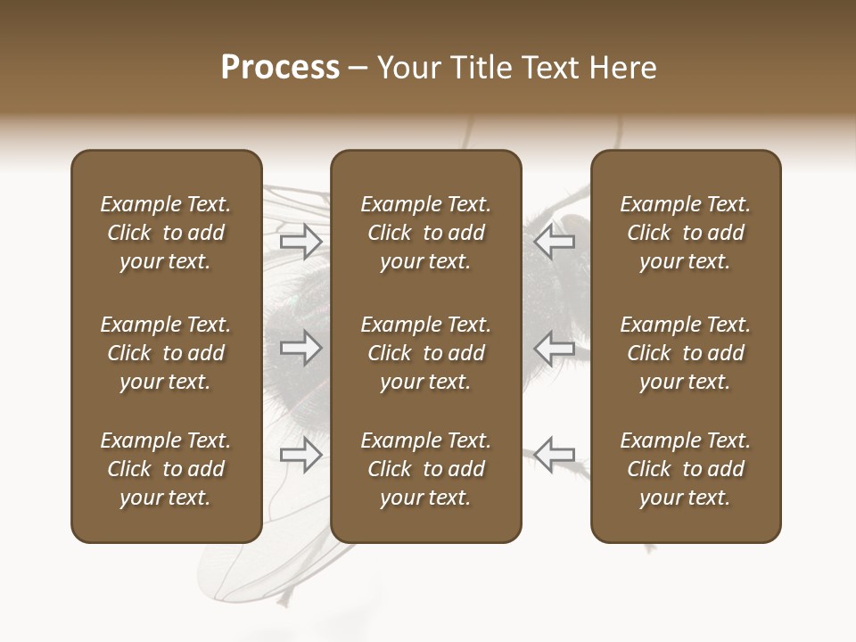 Creepy Animal Background PowerPoint Template