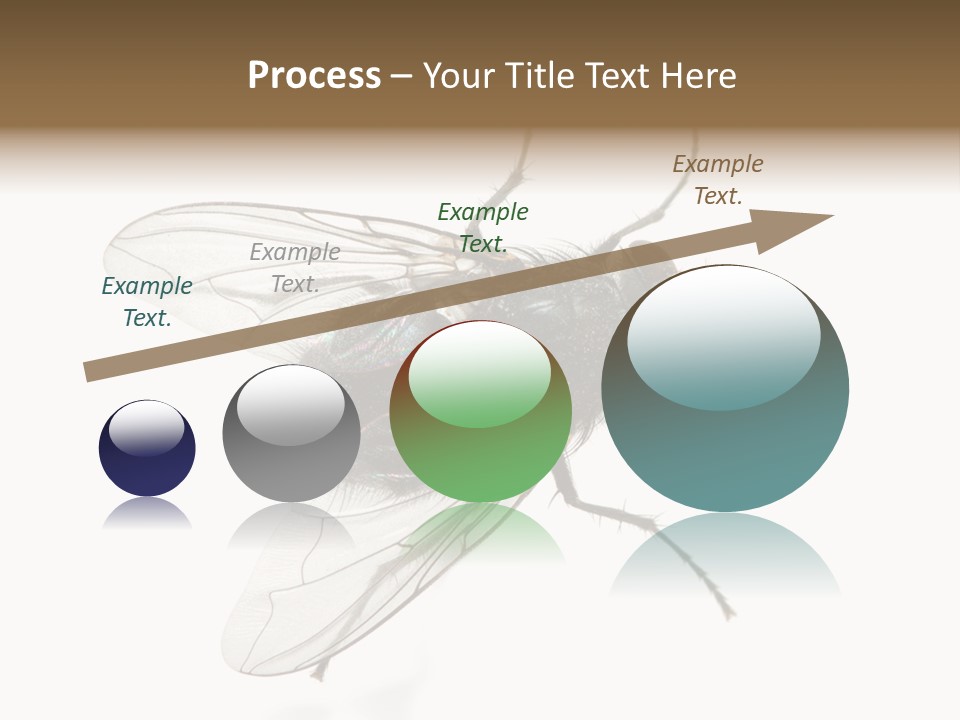 Creepy Animal Background PowerPoint Template