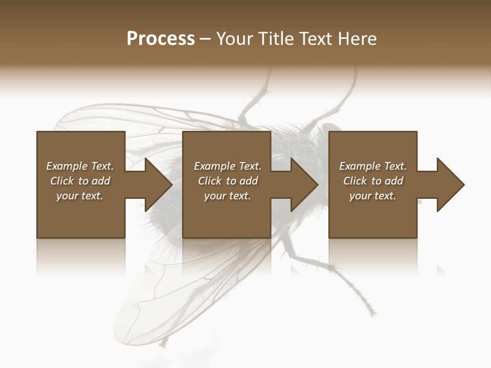 Creepy Animal Background PowerPoint Template