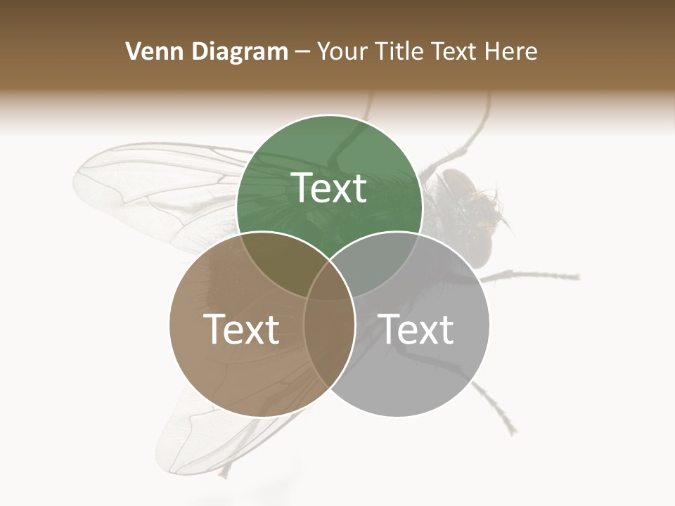 Creepy Animal Background PowerPoint Template