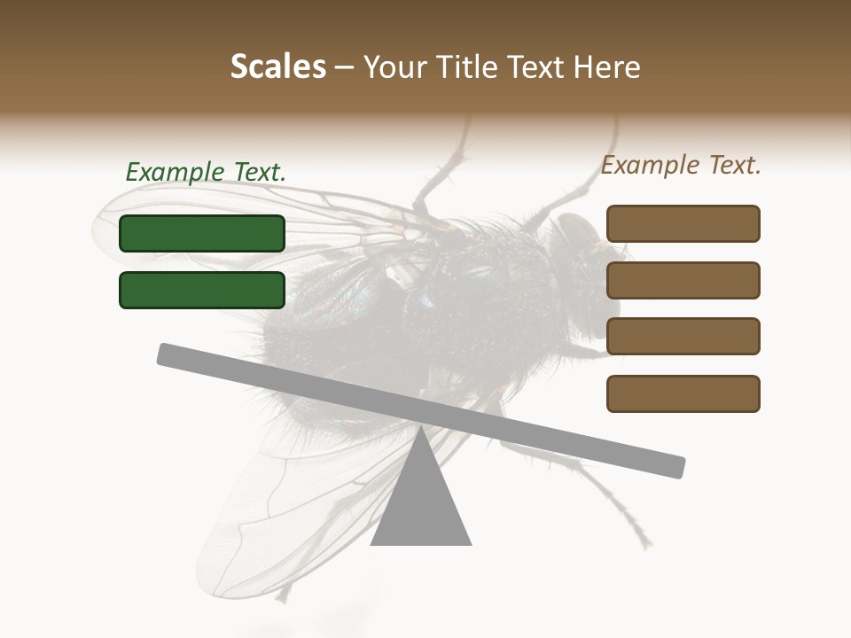 Creepy Animal Background PowerPoint Template